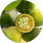 研發(fā)三大品牌